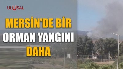 Mersin'de bir orman yangını daha